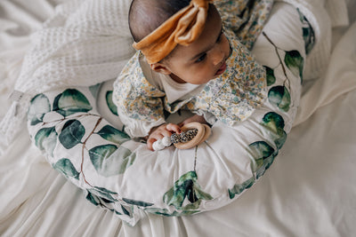 Organic Cotton Baby Nest - Silver Dollar